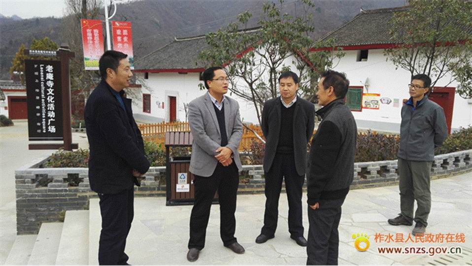 副县长朱雪彬深入镇村督查清洁城镇创建工作推进情况