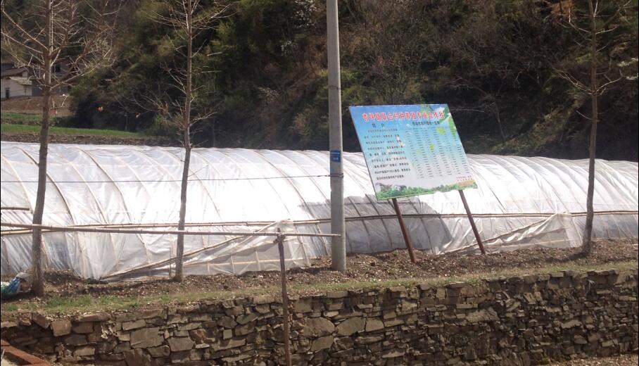 杏岺镇人口_志丹县杏河镇沙湾村(2)