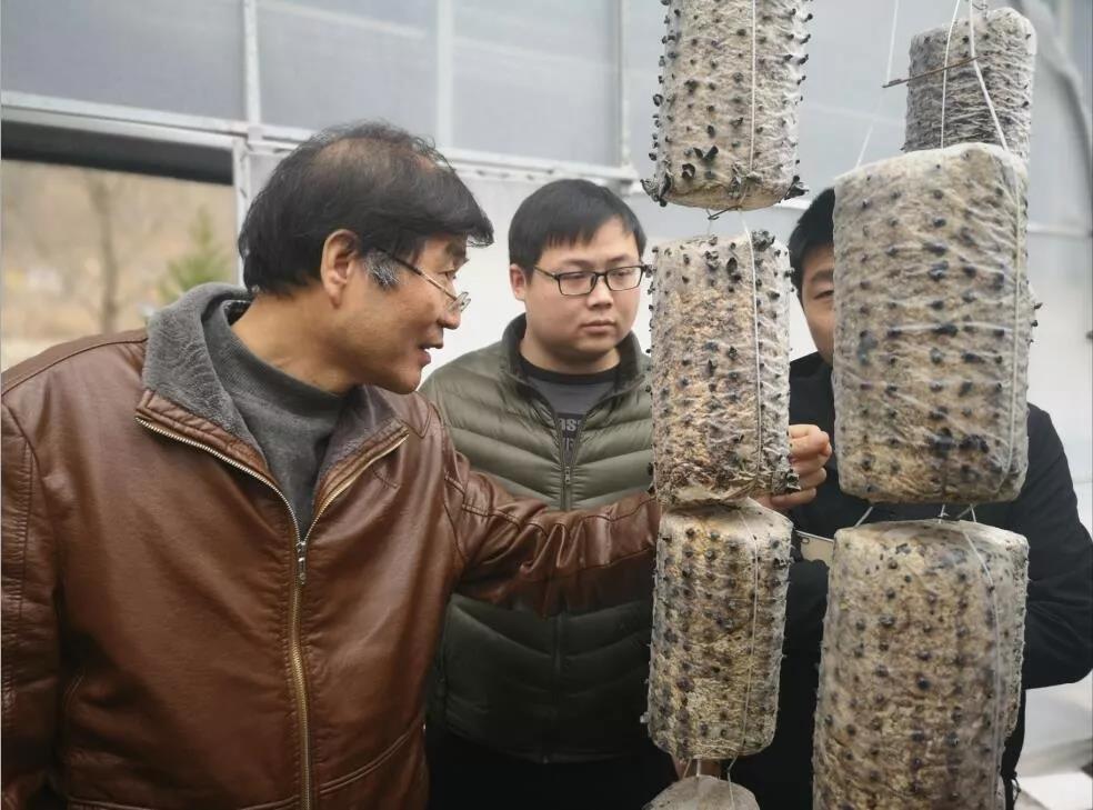 学技术 强本领 助力产业脱贫 柞水县举办木耳生产技术专题培训班