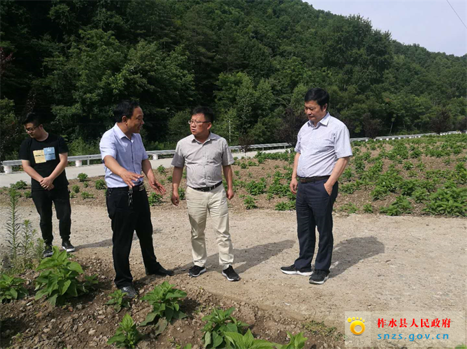 县长崔孝栓到营盘镇检查脱贫攻坚并开展大走访 柞水县人民政府