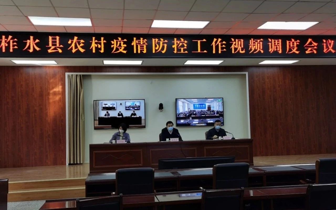 柞水县召开农村新冠肺炎疫情防控视频调度会