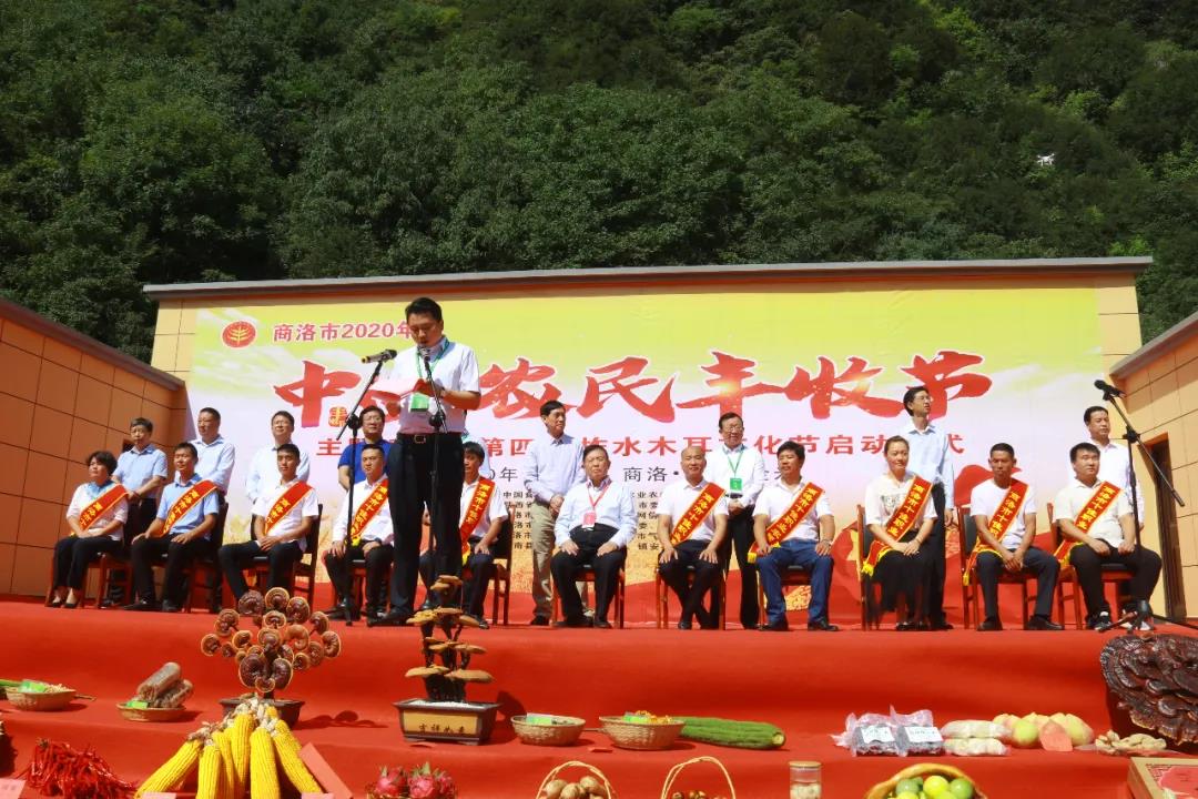 商洛市2020年中国农民丰收节主题活动暨第四届柞水木耳文化节启动