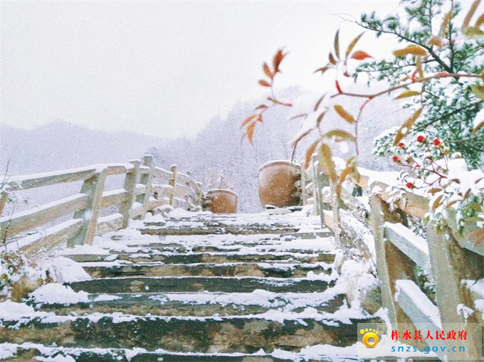 微信图片_20201126081501.jpg