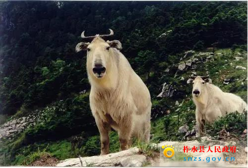 微信图片_3.jpg