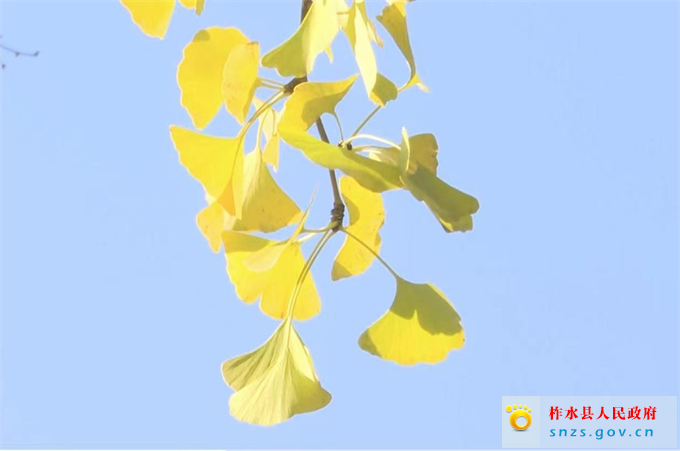 7083c0431e08c118ab29c3db9b8a8ff.jpg
